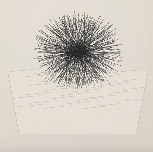 王虹的针